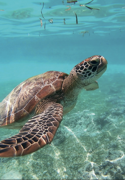 screenshot 2026 02 20 at 4.00.52 pm