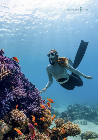 screenshot 2026 02 20 at 4.00.59 pm