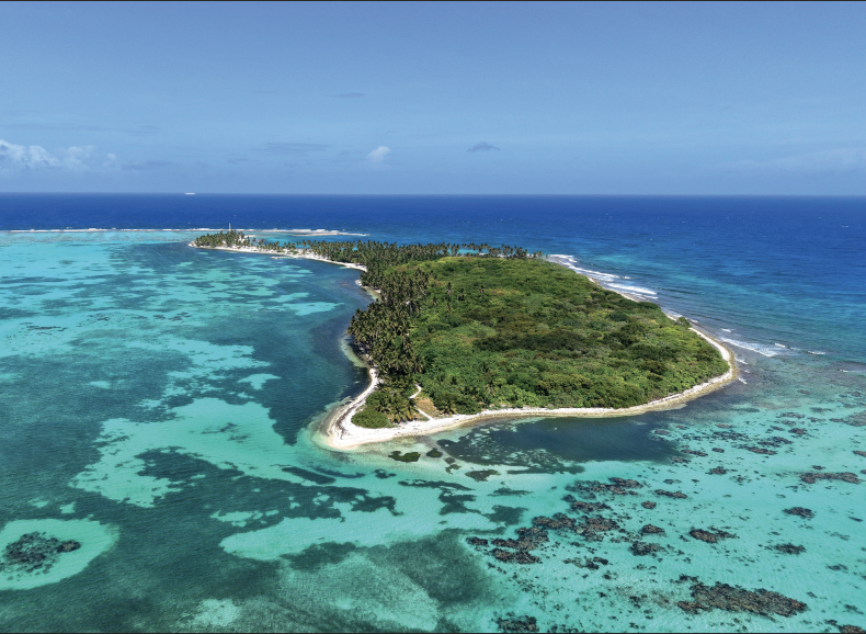 screenshot 2026 02 20 at 4.01.08 pm