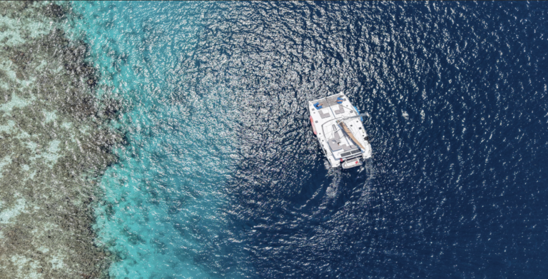 screenshot 2026 02 20 at 4.02.26 pm