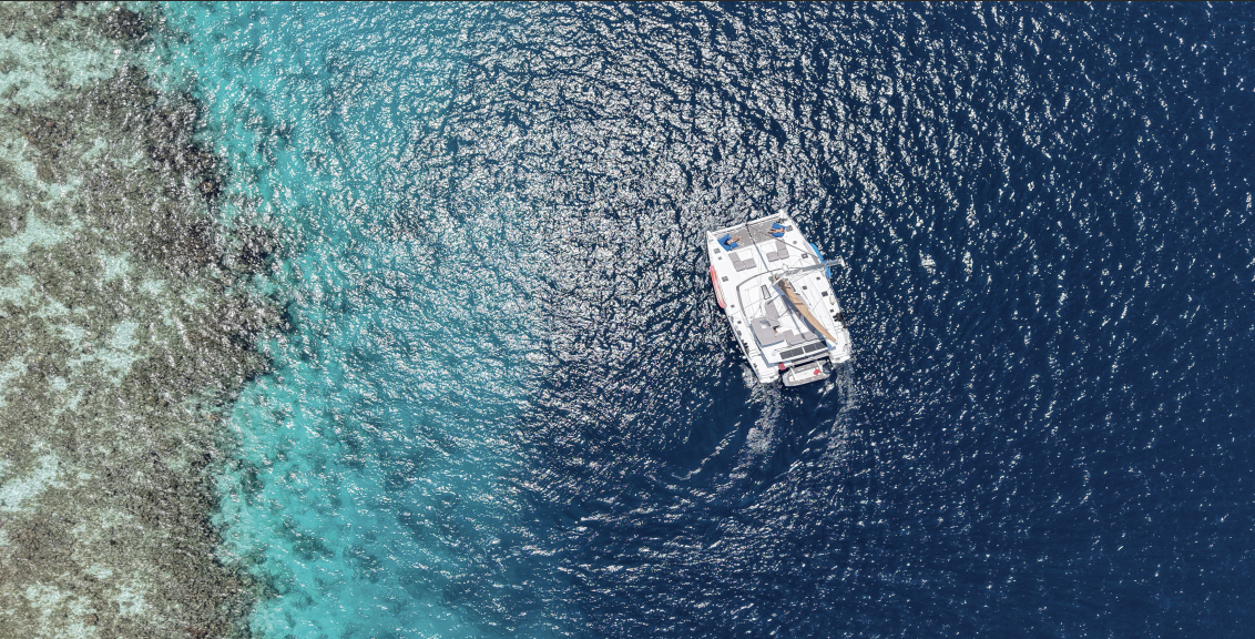 screenshot 2026 02 20 at 4.02.26 pm