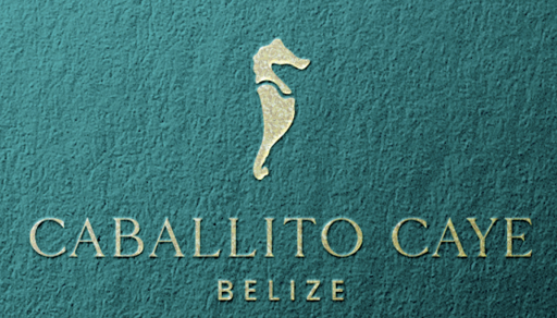 cropped cropped screenshot 2026 02 20 at 4.00.30 pm.png